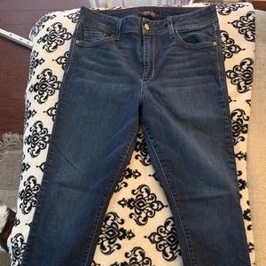 Fran denim 30